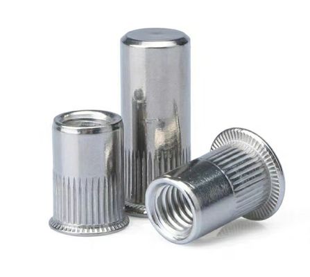 M8 M10 M2-M12 固定用ブラインドリベットナッツ Q235A2-70 A4-80 製造