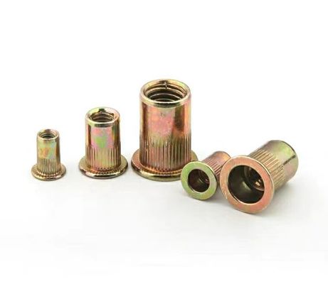 M8 M10 M2-M12 固定用ブラインドリベットナッツ Q235A2-70 A4-80 製造