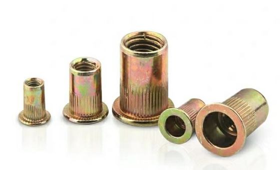 M8 M10 M2-M12 固定用ブラインドリベットナッツ Q235A2-70 A4-80 製造