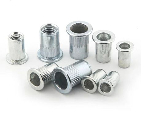 M8 M10 M2-M12 固定用ブラインドリベットナッツ Q235A2-70 A4-80 製造